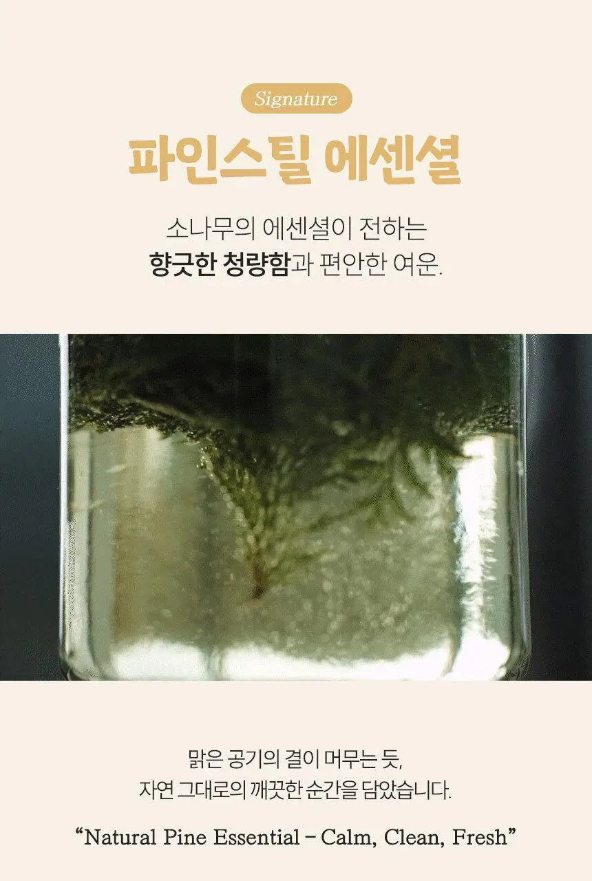 [1위 탈취제] 위프 고체형 탈취제 7종 골라담기 (화이트/블랙/베이지/핑크/퍼플) 상세페이지 16